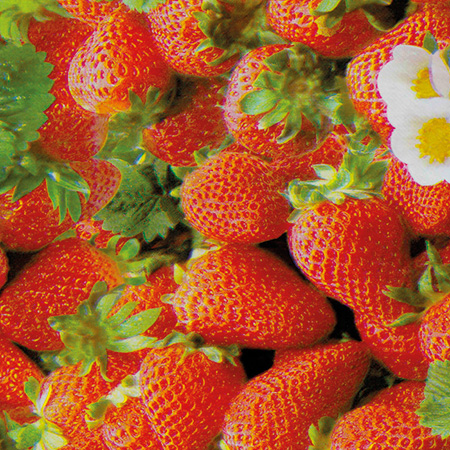 Voksdug med mønster